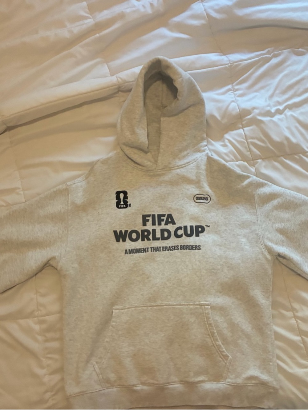 FIFA World Cup x Peace Collective Hoodie in Light Gray